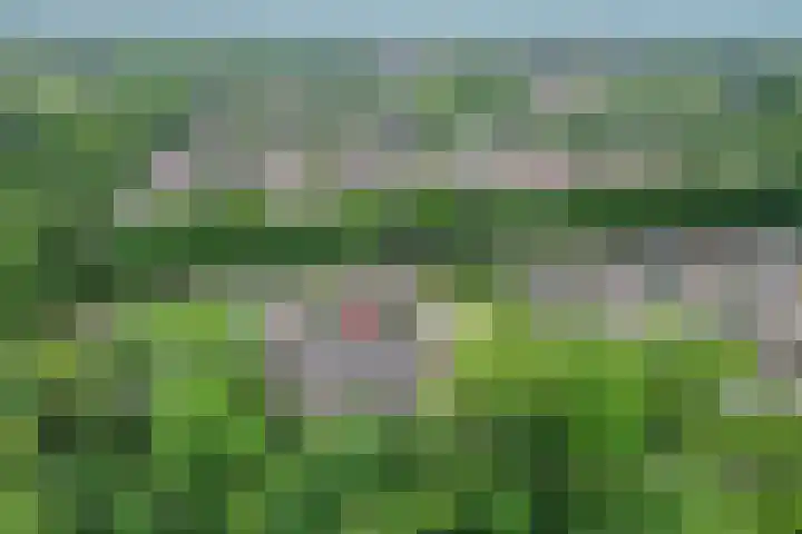 Scheerdersdonk 713 Apeldoorn thumbnail 34