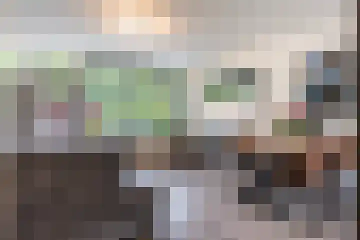 Scheerdersdonk 713 Apeldoorn thumbnail 4
