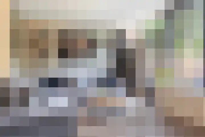 Scheerdersdonk 713 Apeldoorn thumbnail 5