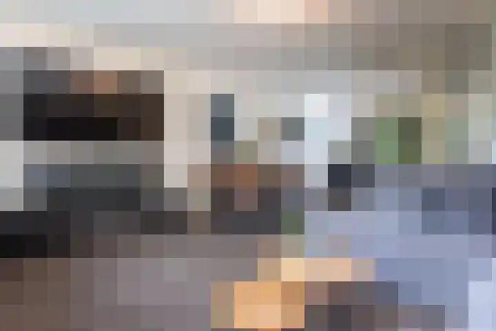 Scheerdersdonk 713 Apeldoorn thumbnail 6