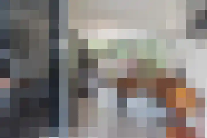 Scheerdersdonk 713 Apeldoorn thumbnail 8