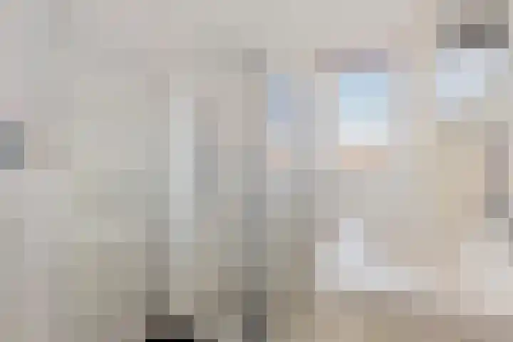 Scheerdershof 29 Warnsveld thumbnail 27