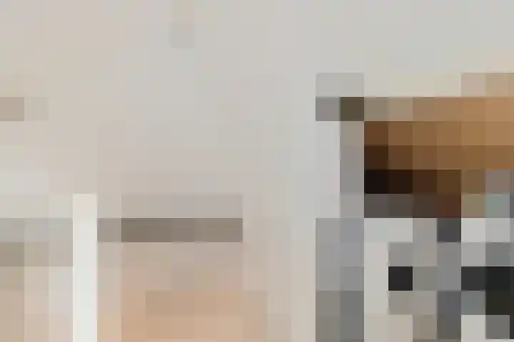 Scheerdershof 29 Warnsveld thumbnail 31