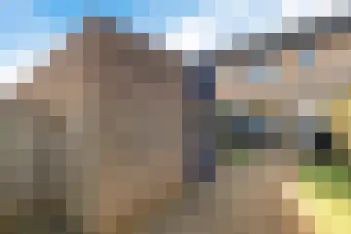 Scheerdershof 29 Warnsveld thumbnail 35