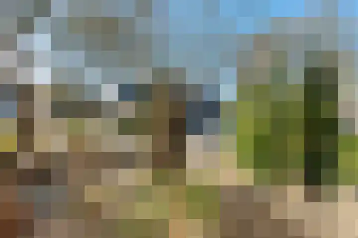 Scheerdershof 29 Warnsveld thumbnail 4