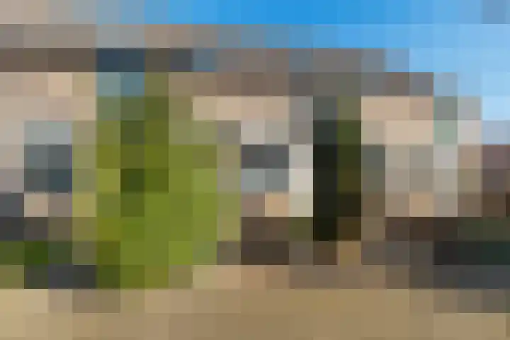 Scheerdershof 29 Warnsveld thumbnail 5