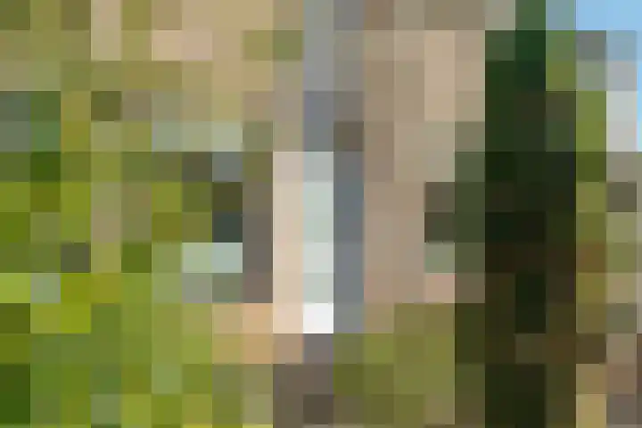 Scheerdershof 29 Warnsveld thumbnail 6