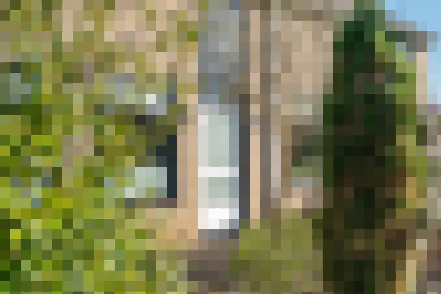 Scheerdershof 29 Warnsveld thumbnail 6