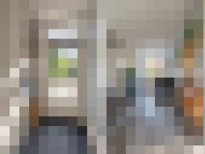 Scheerdershof 31 Warnsveld thumbnail 10