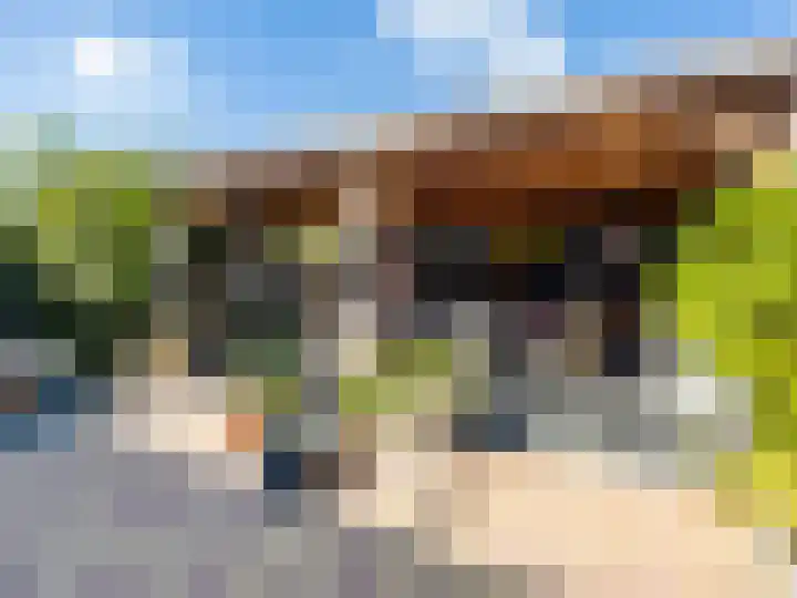 Scheerdershof 31 Warnsveld thumbnail 21
