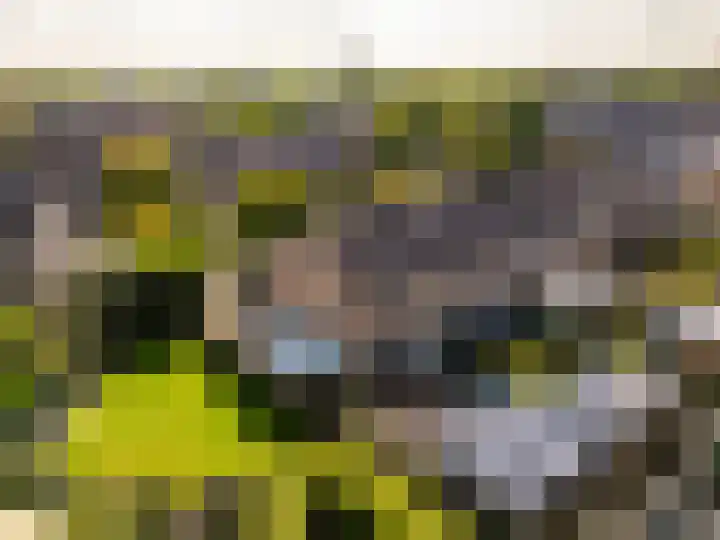 Scheerdershof 31 Warnsveld thumbnail 23