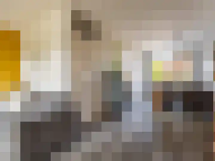 Scheerdershof 31 Warnsveld thumbnail 4