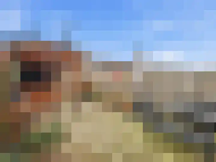 Scheerdershof 38 Warnsveld thumbnail 23