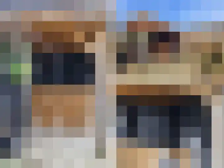 Scheerdershof 38 Warnsveld thumbnail 25