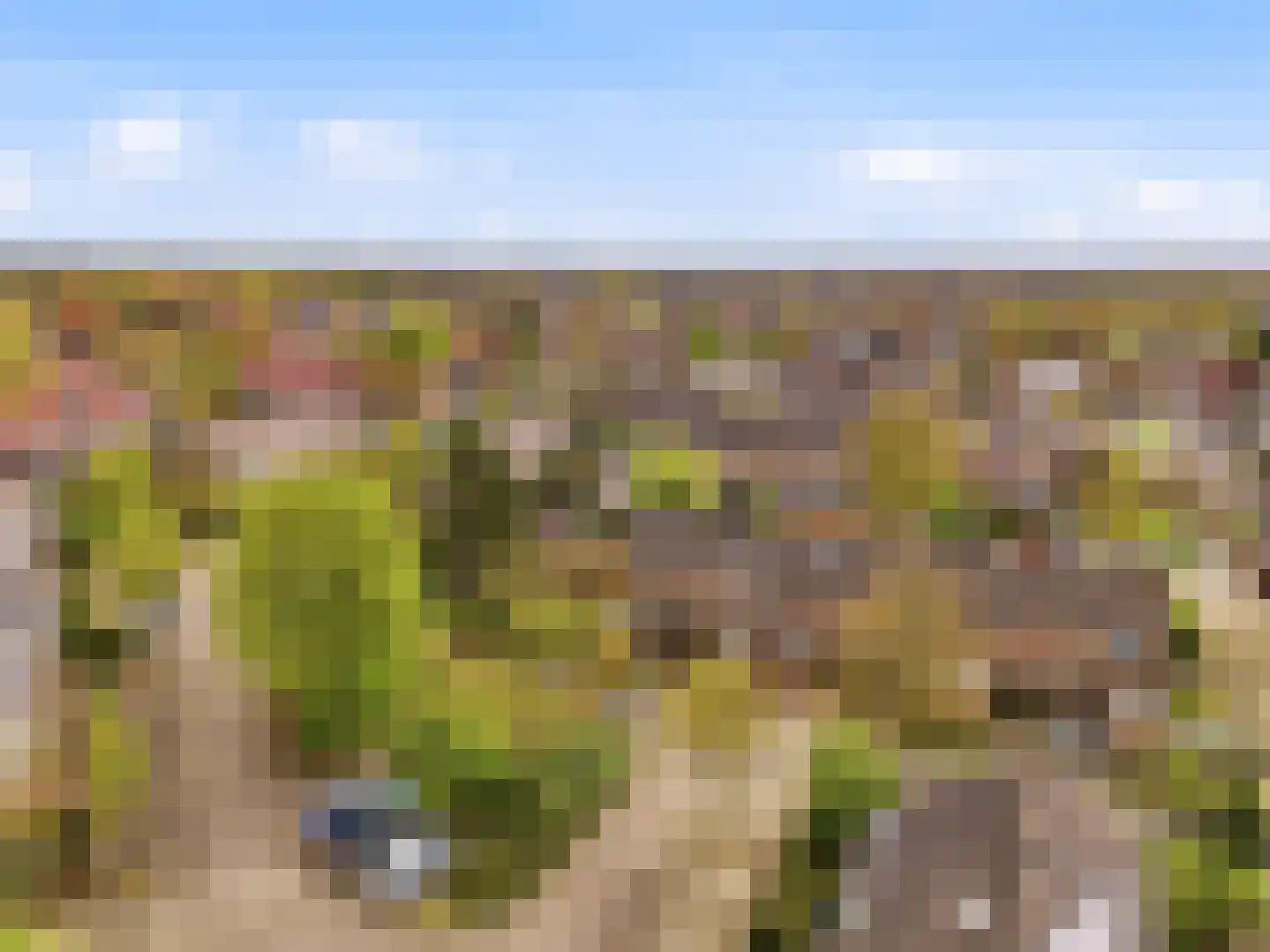 Scheerdershof 58 Warnsveld thumbnail 33