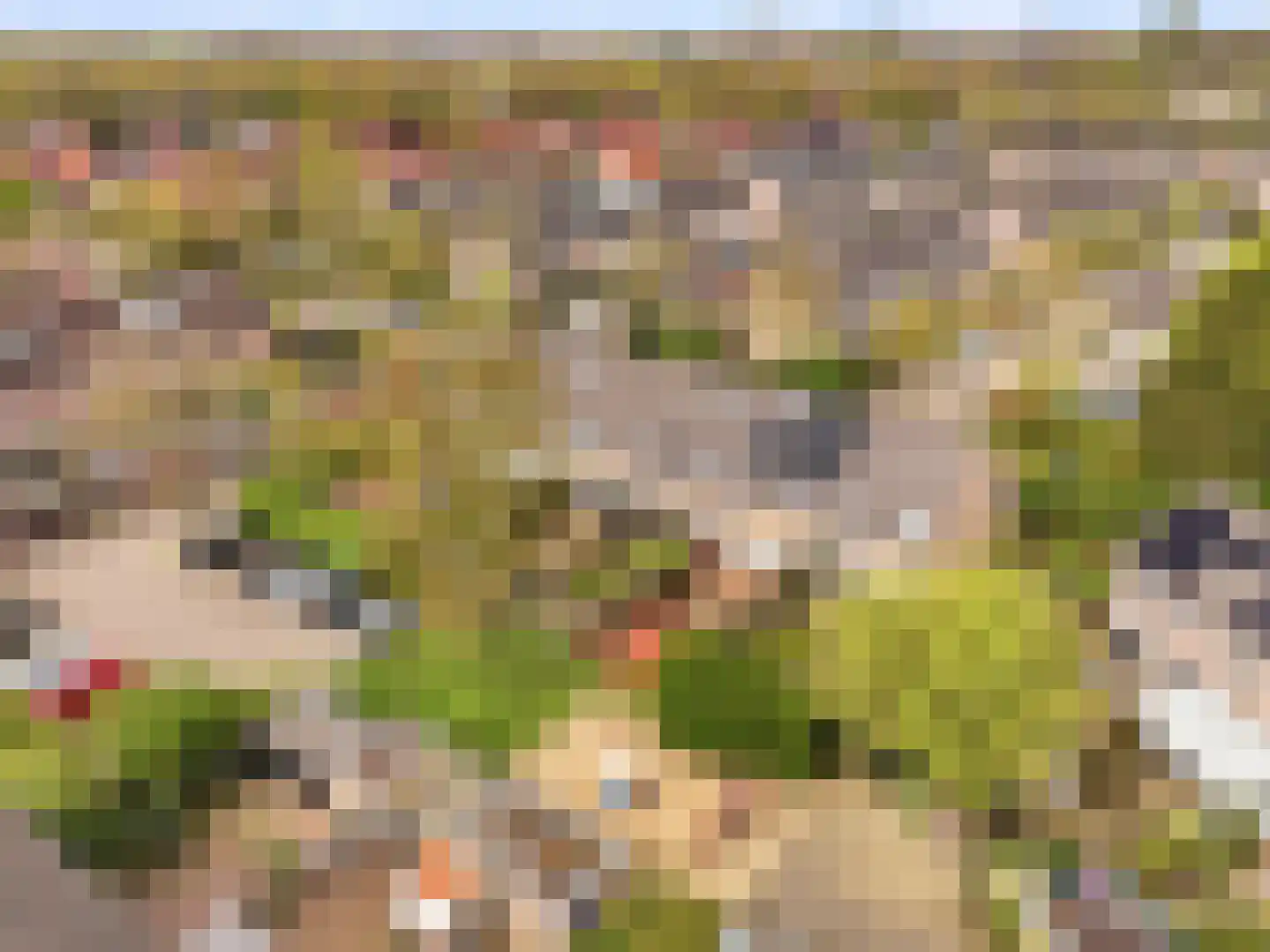 Scheerdershof 58 Warnsveld thumbnail 34