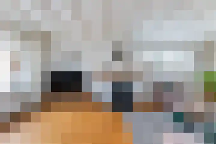 Scheerderslaan 16 Wezep thumbnail 10