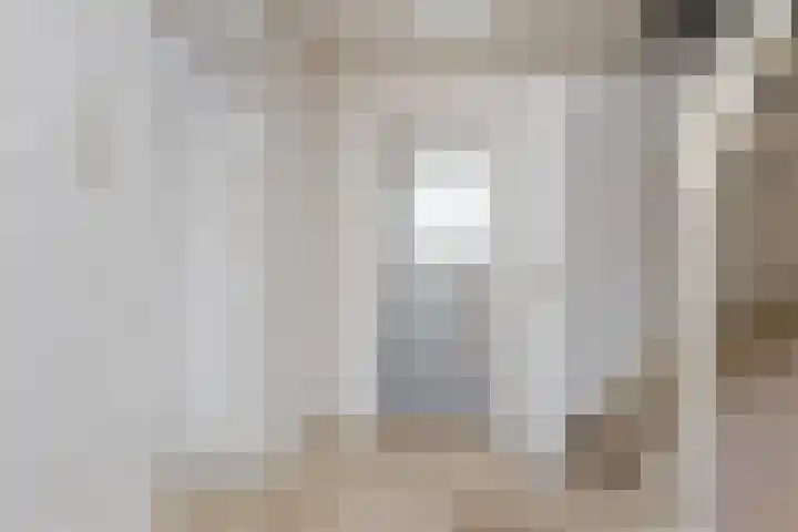 Scheerderslaan 16 Wezep thumbnail 24