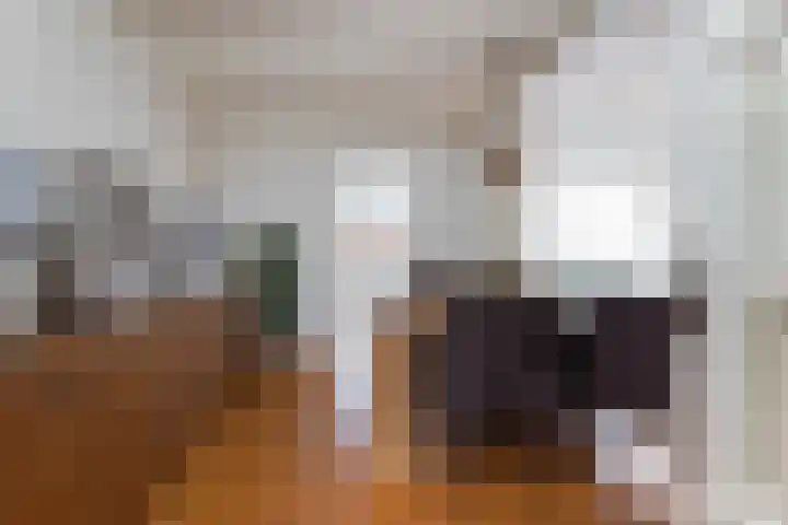 Scheerderslaan 16 Wezep thumbnail 9