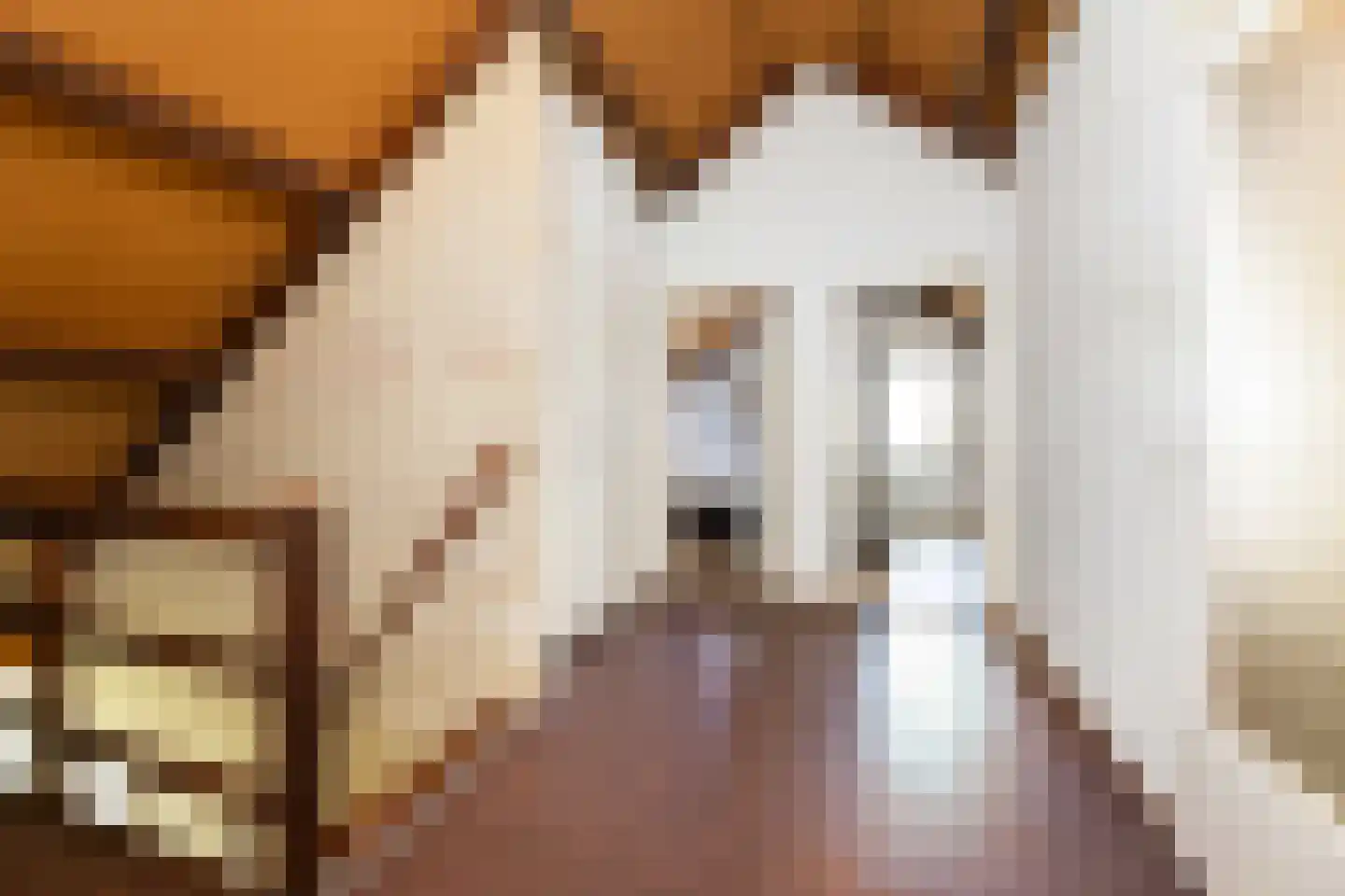 Scheerderslaan 6 Wezep thumbnail 28