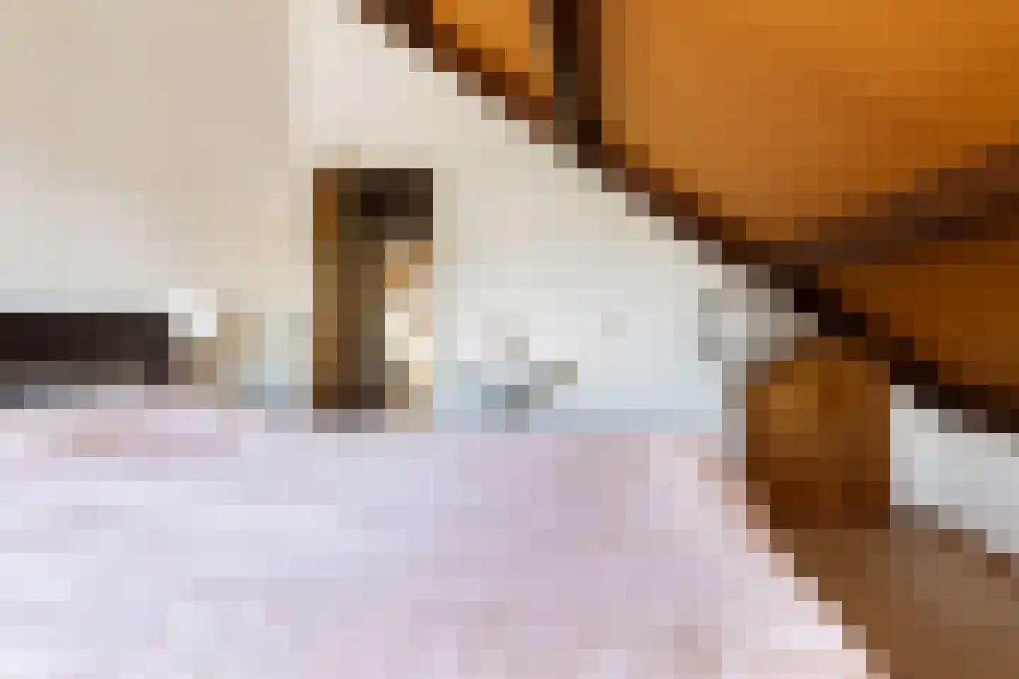 Scheerderslaan 6 Wezep thumbnail 33