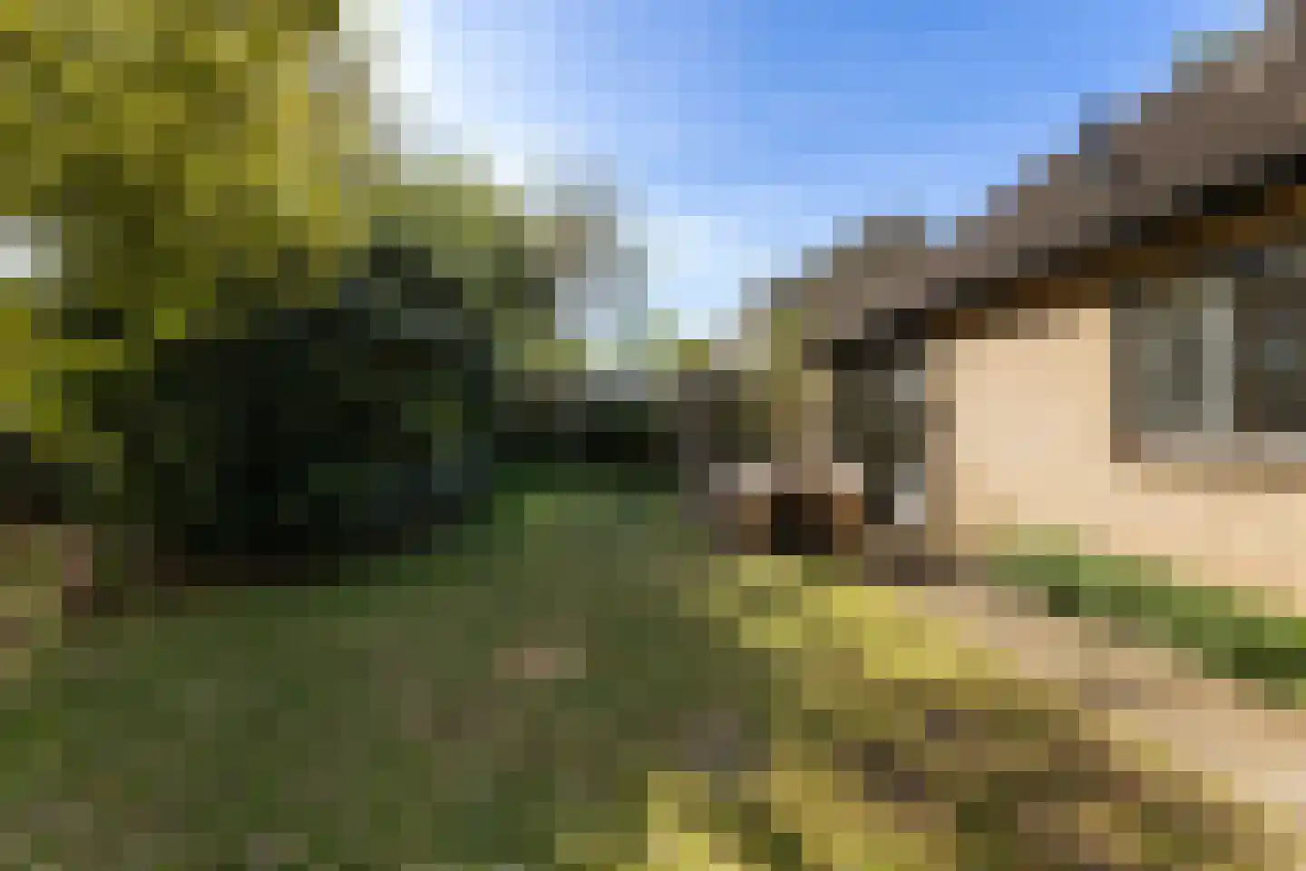 Scheerderslaan 6 Wezep thumbnail 35