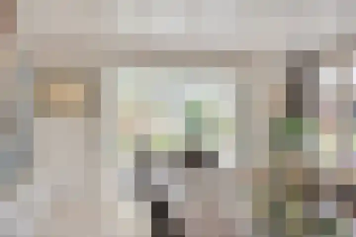 Scheerdersstraat 10 Oeffelt thumbnail 17