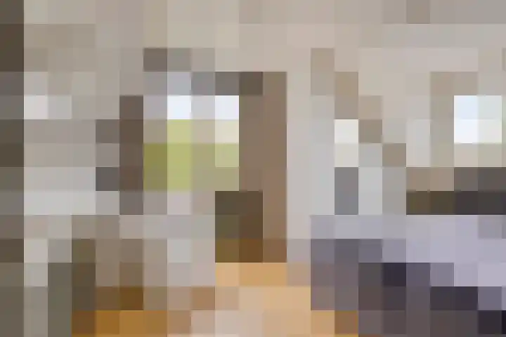 Scheerdersstraat 10 Oeffelt thumbnail 38