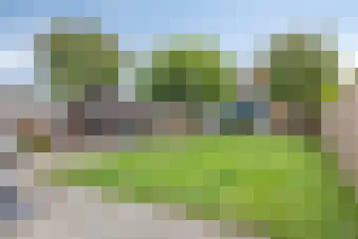 Scheerdersstraat 10 Oeffelt thumbnail 48
