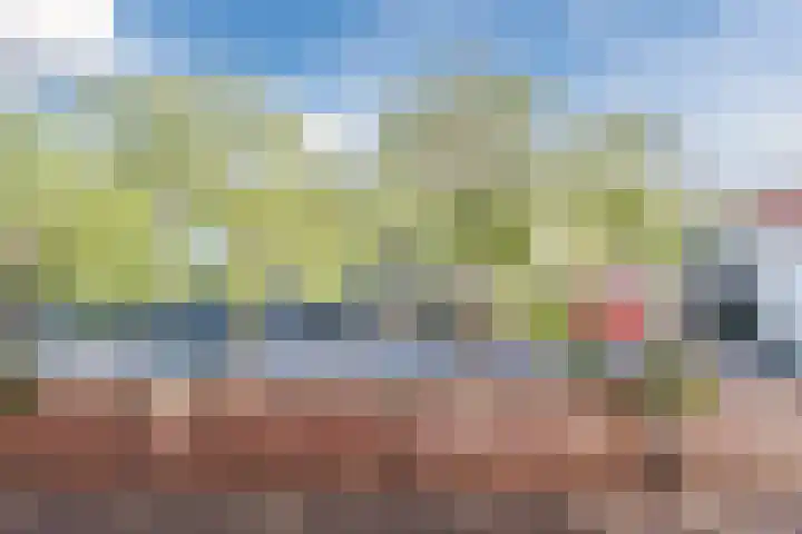 Scheerestraat 11 Grave thumbnail 15