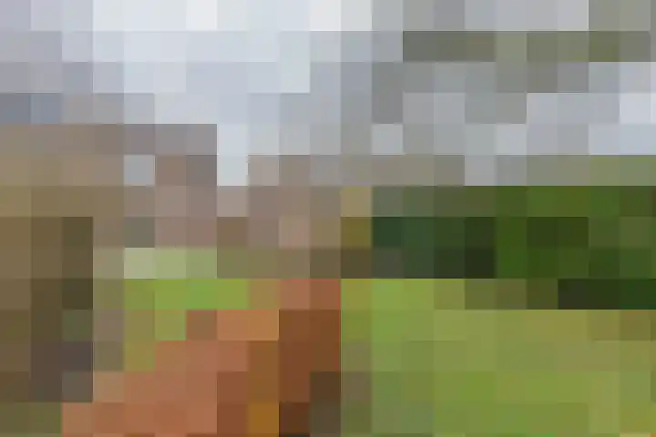 Scheeringlaan 18 Tiel thumbnail 10