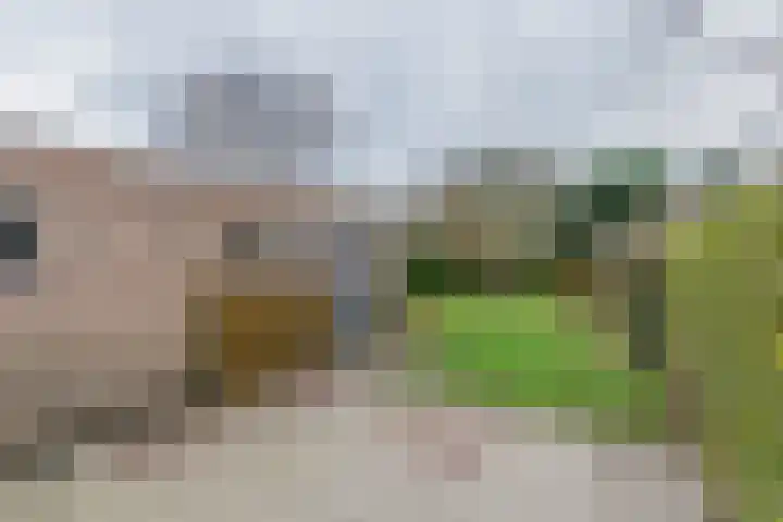 Scheeringlaan 18 Tiel thumbnail 11