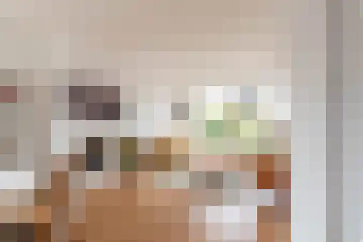 Scheeringlaan 18 Tiel thumbnail 12