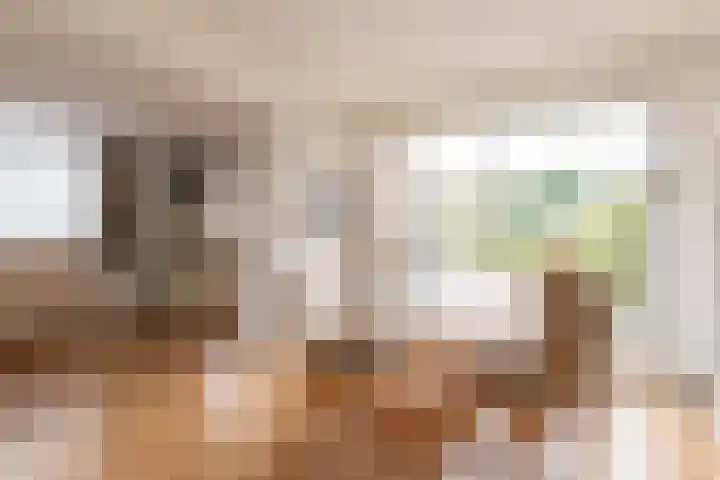 Scheeringlaan 18 Tiel thumbnail 13