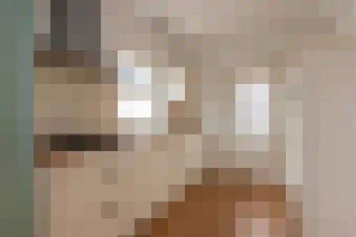 Scheeringlaan 18 Tiel thumbnail 16