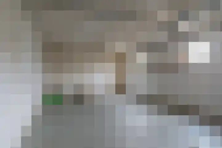 Scheeringlaan 18 Tiel thumbnail 18