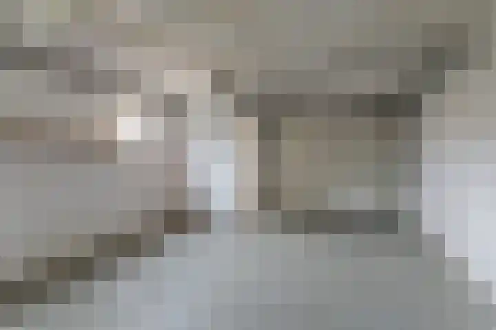 Scheeringlaan 18 Tiel thumbnail 19
