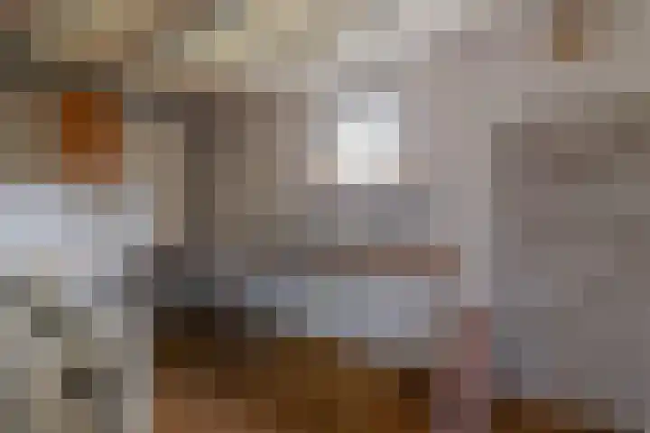 Scheeringlaan 18 Tiel thumbnail 20