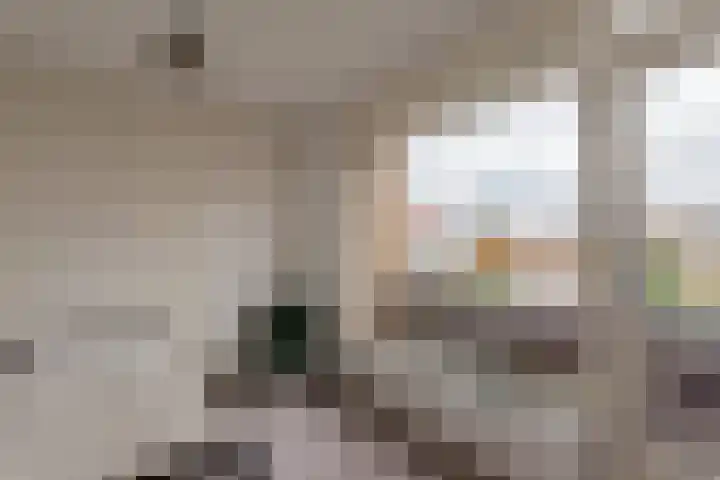 Scheeringlaan 18 Tiel thumbnail 23