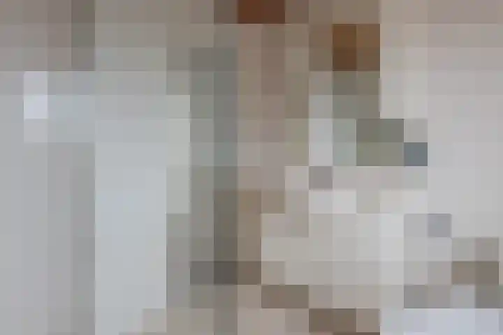 Scheeringlaan 18 Tiel thumbnail 28