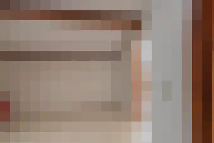 Scheeringlaan 18 Tiel thumbnail 29