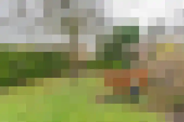 Scheeringlaan 18 Tiel foto 3