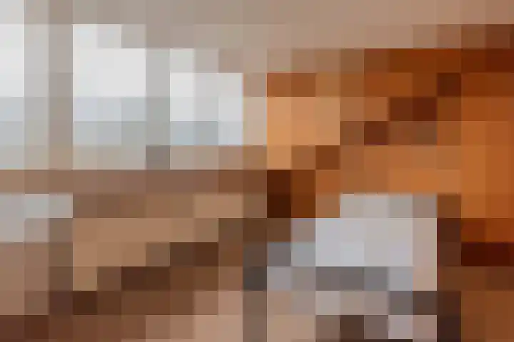 Scheeringlaan 18 Tiel thumbnail 30