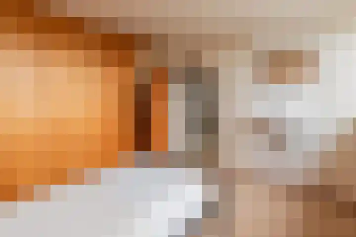 Scheeringlaan 18 Tiel thumbnail 31