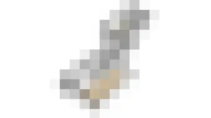 Scheeringlaan 18 Tiel thumbnail 34
