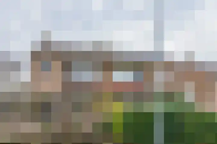 Scheeringlaan 18 Tiel thumbnail 4