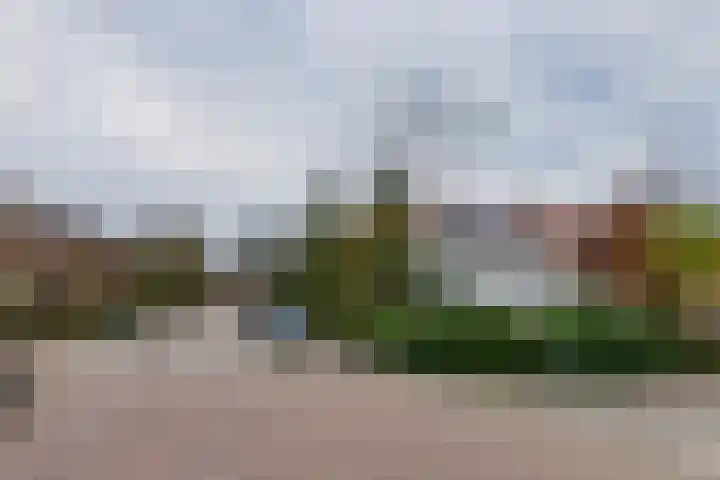 Scheeringlaan 18 Tiel thumbnail 5