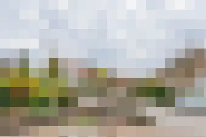 Scheeringlaan 18 Tiel thumbnail 6