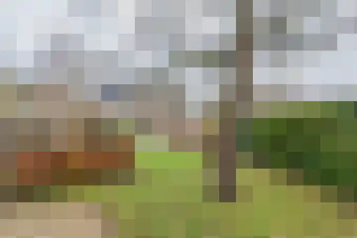 Scheeringlaan 18 Tiel thumbnail 9