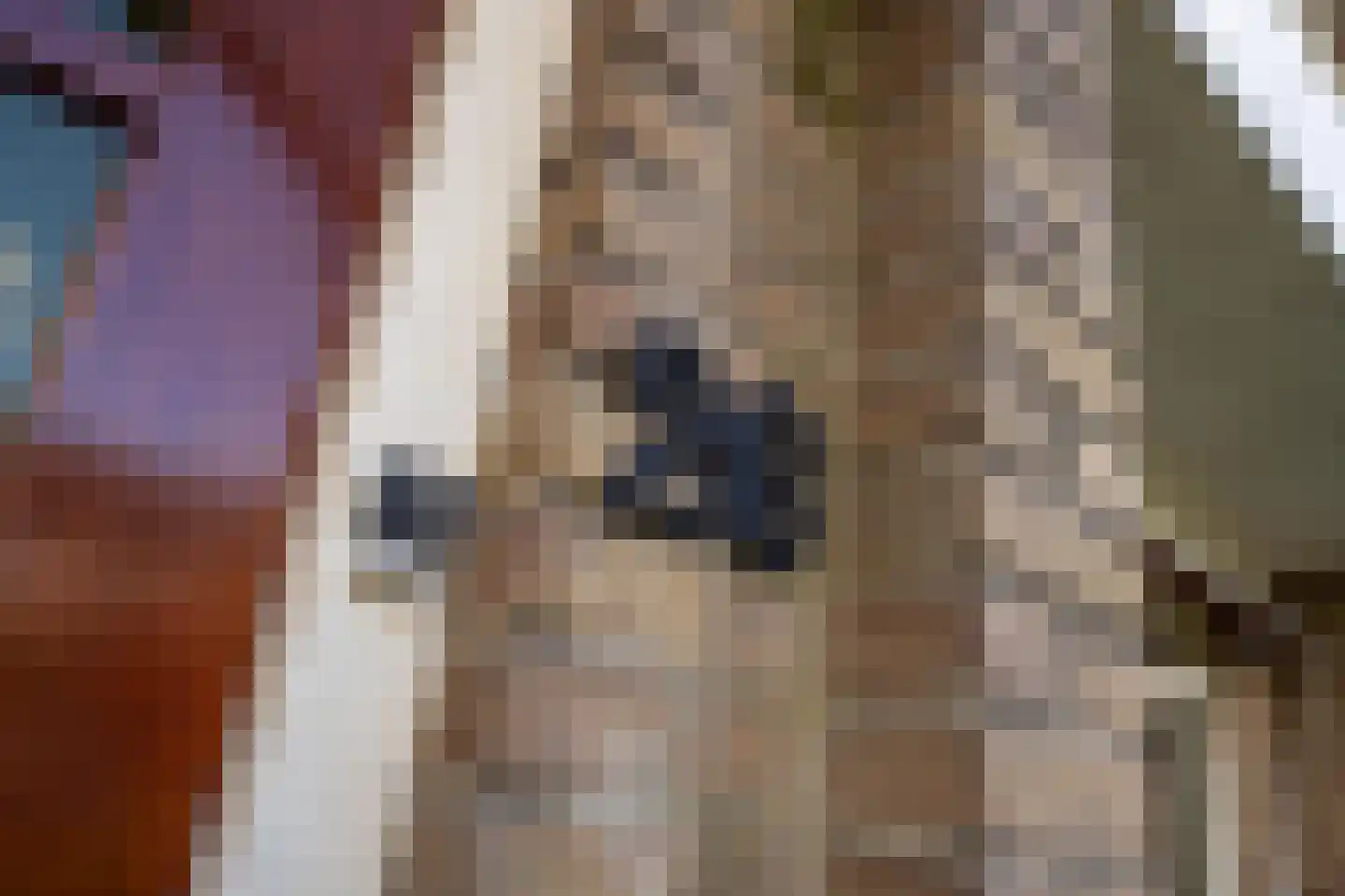 Scheeringlaan 26 Tiel thumbnail 10